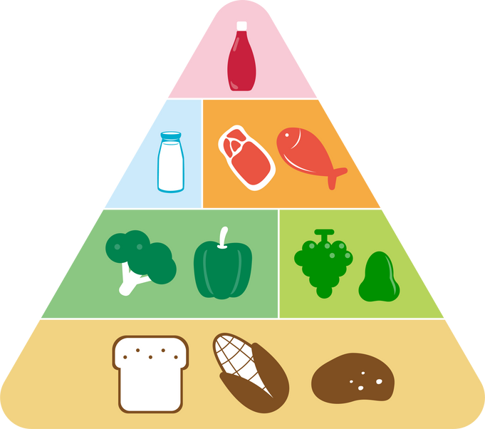 Food Pyramid Illustration